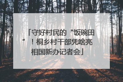 守好村民的“饭碗田”！桐乡村干部凭啥亮相国新办记者会