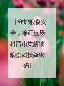 守护粮食安全，徐汇这场科普市集解锁粮食科技新密码