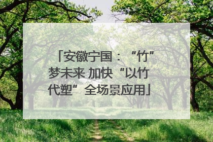 安徽宁国：“竹”梦未来 加快“以竹代塑”全场景应用