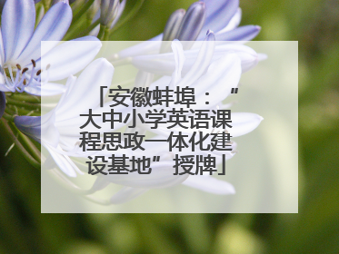 安徽蚌埠：“大中小学英语课程思政一体化建设基地”授牌