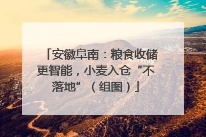 安徽阜南：粮食收储更智能，小麦入仓“不落地”（组图）