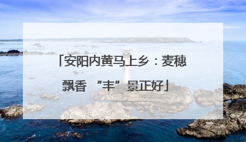 安阳内黄马上乡：麦穗飘香 “丰”景正好