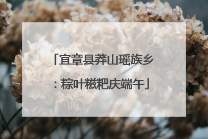 宜章县莽山瑶族乡：粽叶糍粑庆端午