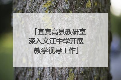 宜宾高县教研室深入文江中学开展教学视导工作