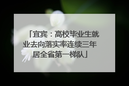 宜宾：高校毕业生就业去向落实率连续三年居全省第一梯队