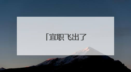 宜职飞出了“火凤凰”