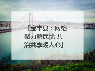 宝丰县：网格聚力解民忧 共治共享暖人心