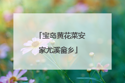 宝岛黄花菜安家尤溪畲乡
