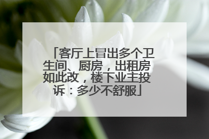 客厅上冒出多个卫生间、厨房，出租房如此改，楼下业主投诉：多少不舒服