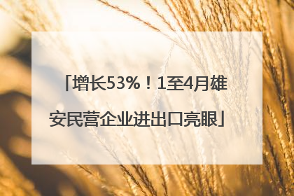增长53%！1至4月雄安民营企业进出口亮眼