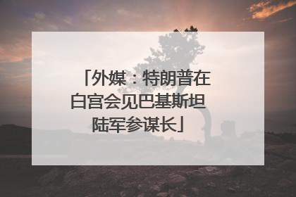 外媒：特朗普在白宫会见巴基斯坦陆军参谋长