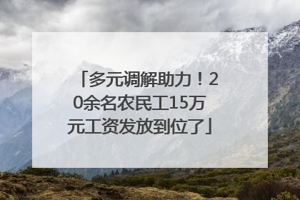 多元调解助力！20余名农民工15万元工资发放到位了