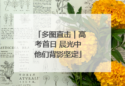 多图直击｜高考首日 晨光中他们背影坚定