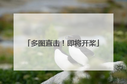 多图直击！即将开桨