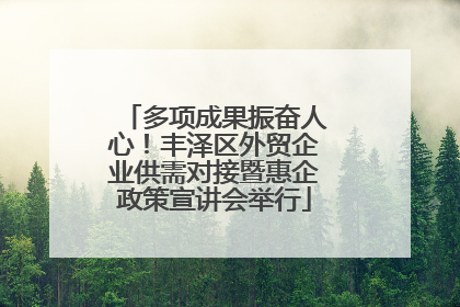 多项成果振奋人心！丰泽区外贸企业供需对接暨惠企政策宣讲会举行
