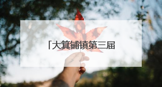 大箕铺镇第三届红色文化旅游季在曹家晚村启幕