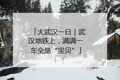 大武汉一日｜武汉地铁上，满满一车全是“宝贝”