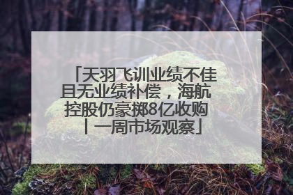 天羽飞训业绩不佳且无业绩补偿，海航控股仍豪掷8亿收购丨一周市场观察