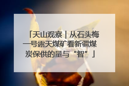 天山观察｜从石头梅一号露天煤矿看新疆煤炭保供的量与“智”