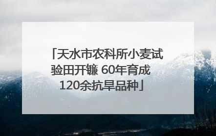 天水市农科所小麦试验田开镰 60年育成120余抗旱品种