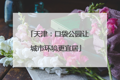 天津：口袋公园让城市环境更宜居