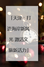 天津：打造海岸新风光 激活文旅新活力
