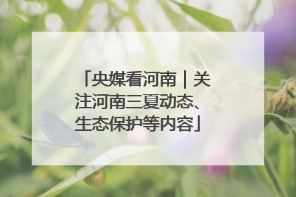 央媒看河南｜关注河南三夏动态、生态保护等内容