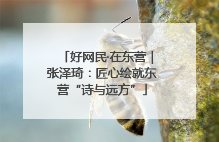 好网民·在东营｜张泽琦：匠心绘就东营“诗与远方”