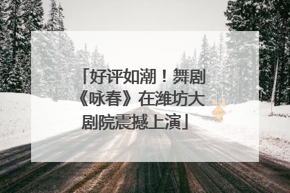 好评如潮！舞剧《咏春》在潍坊大剧院震撼上演