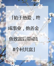 始于热爱，终成事业，他养金鱼致富后带动18个村共富
