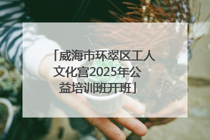 威海市环翠区工人文化宫2025年公益培训班开班