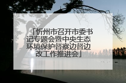 忻州市召开市委书记专题会暨中央生态环境保护督察边督边改工作推进会
