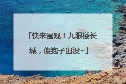 快来围观！九眼楼长城，傻狍子出没~