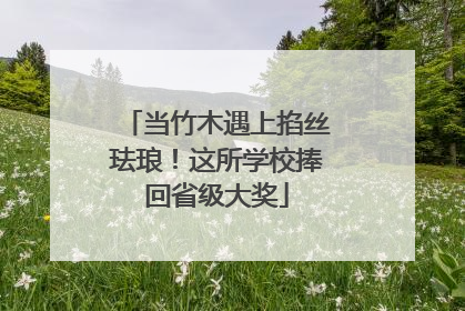当竹木遇上掐丝珐琅！这所学校捧回省级大奖
