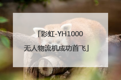 彩虹-YH1000无人物流机成功首飞