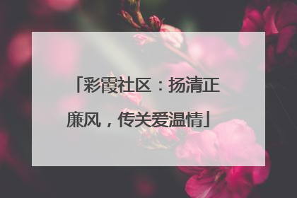 彩霞社区：扬清正廉风，传关爱温情