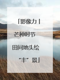 影像力丨芒种时节 田间地头绘“丰”景