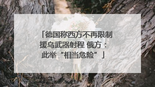德国称西方不再限制援乌武器射程 俄方：此举“相当危险”