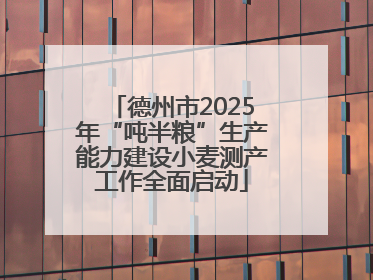德州市2025年“吨半粮”生产能力建设小麦测产工作全面启动