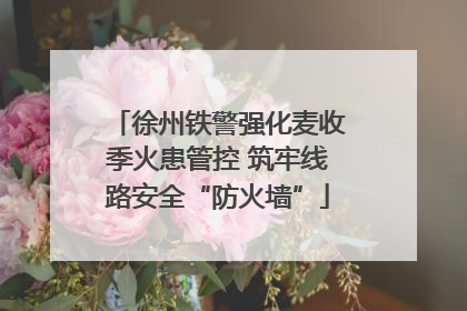徐州铁警强化麦收季火患管控 筑牢线路安全“防火墙”