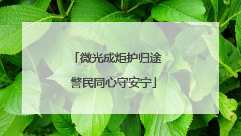 微光成炬护归途 警民同心守安宁