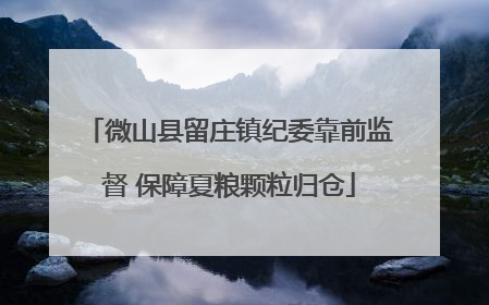 微山县留庄镇纪委靠前监督 保障夏粮颗粒归仓
