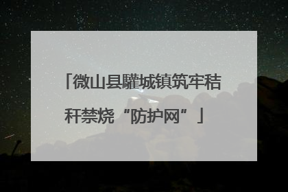 微山县驩城镇筑牢秸秆禁烧“防护网”