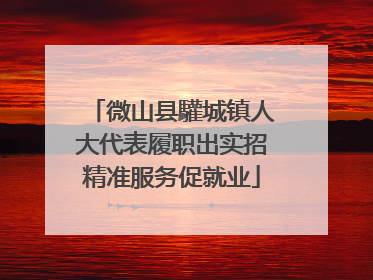 微山县驩城镇人大代表履职出实招精准服务促就业