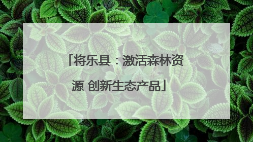 将乐县：激活森林资源 创新生态产品