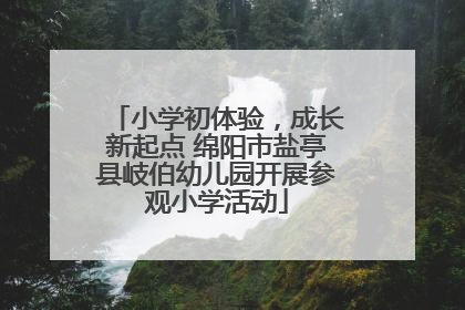 小学初体验，成长新起点 绵阳市盐亭县岐伯幼儿园开展参观小学活动