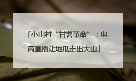 小山村“甘薯革命”：电商直播让地瓜走出大山