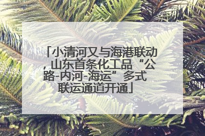 小清河又与海港联动，山东首条化工品“公路-内河-海运”多式联运通道开通