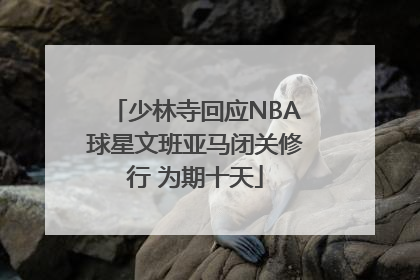 少林寺回应NBA球星文班亚马闭关修行 为期十天
