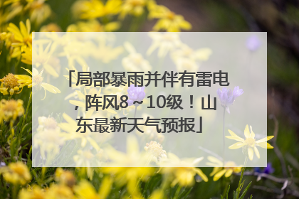 局部暴雨并伴有雷电，阵风8～10级！山东最新天气预报